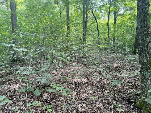 00 Jackson Ridge Rd, Tazewell, TN 37879