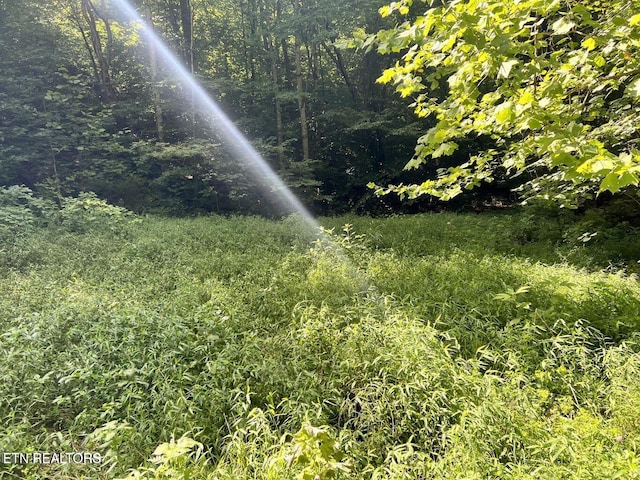 00 Jackson Ridge Rd, Tazewell, TN 37879