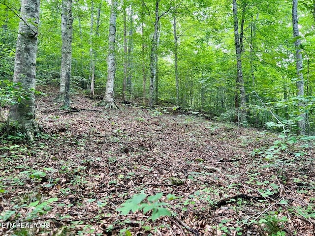 00 Jackson Ridge Rd, Tazewell, TN 37879