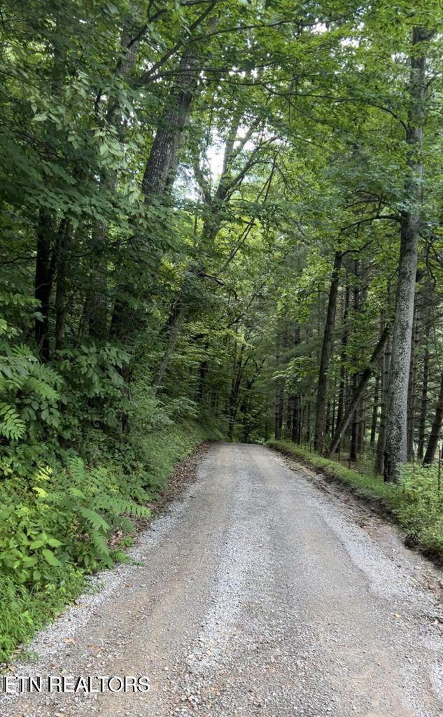 00 Jackson Ridge Rd, Tazewell, TN 37879
