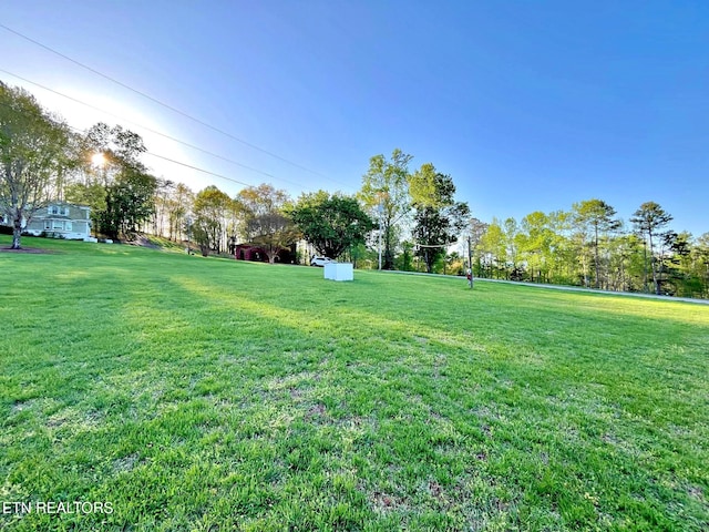 130 Hillview Rd, Ten Mile, TN 37880 - view of yard