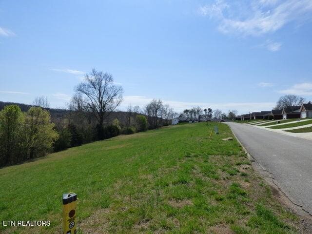 view of road