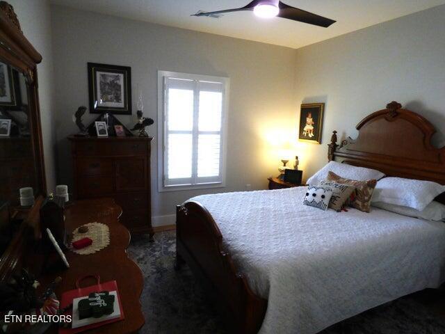 bedroom with ceiling fan