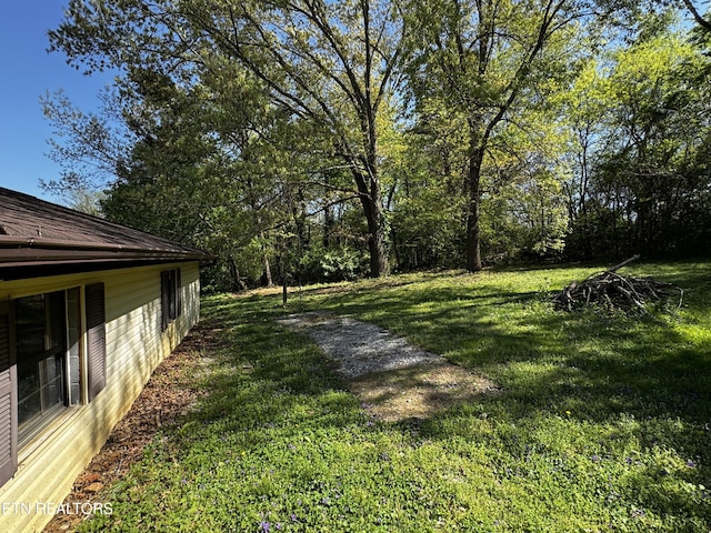 view of yard