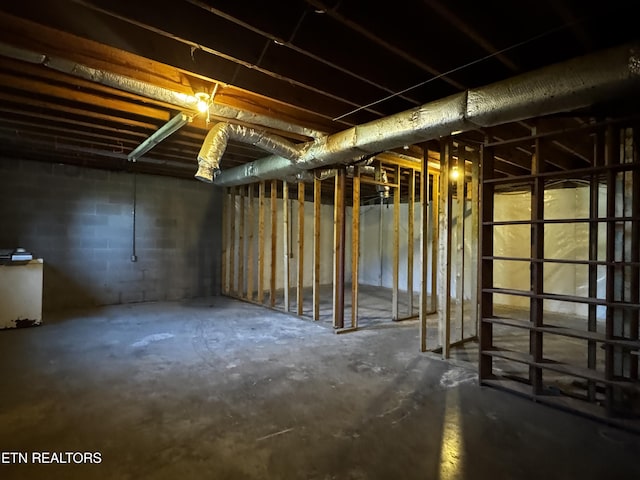 unfinished basement with concrete block wall