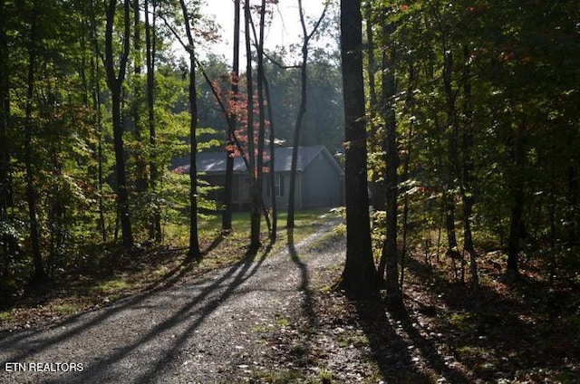 1382 Pilgrim Dr, Grimsley, TN 38565 - view of road with driveway