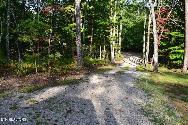 1382 Pilgrim Dr, Grimsley, TN 38565 - view of street featuring a wooded view