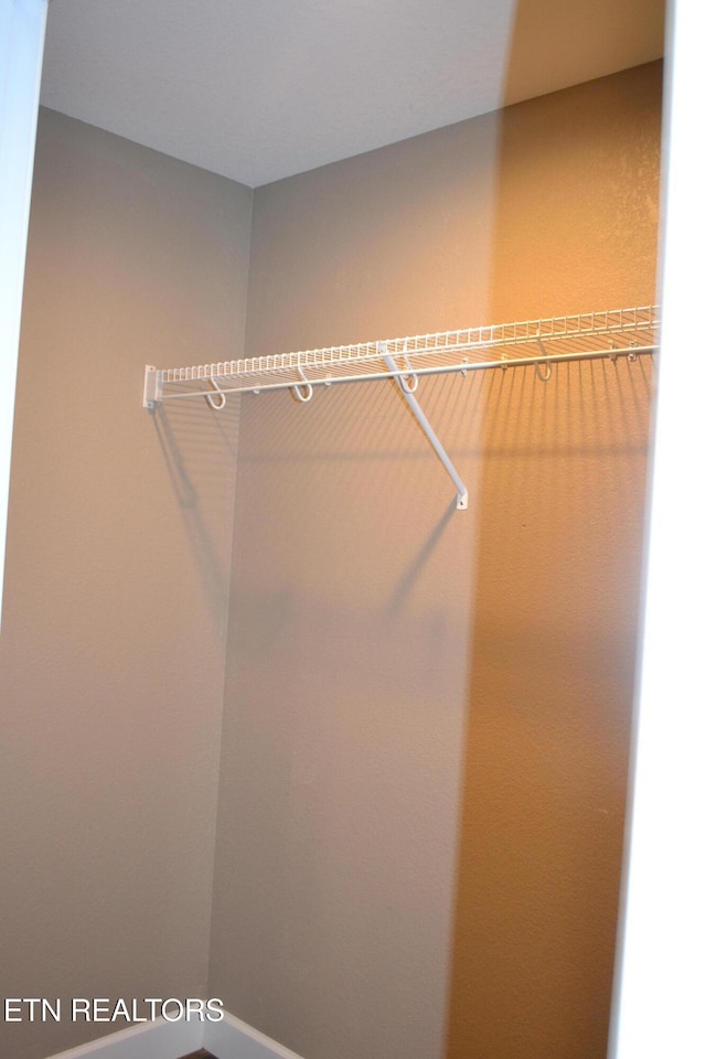 1382 Pilgrim Dr, Grimsley, TN 38565 - view of walk in closet