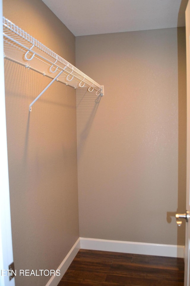 1382 Pilgrim Dr, Grimsley, TN 38565 - walk in closet with dark wood-style floors