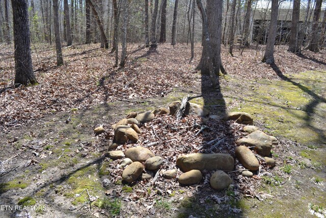 1382 Pilgrim Dr, Grimsley, TN 38565 - view of nature with a view of trees
