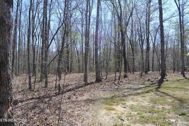 1382 Pilgrim Dr, Grimsley, TN 38565 - view of nature featuring a forest view