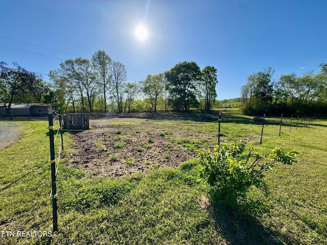 view of yard with a rural view