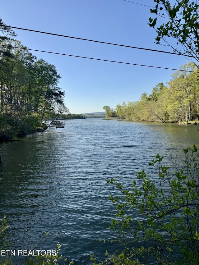 property view of water