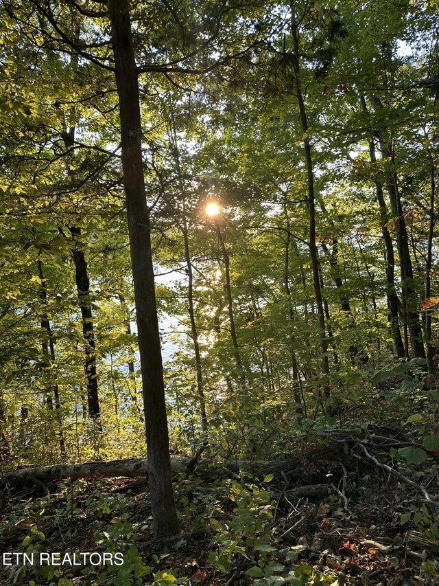 LOT778 Russell Brothers Rd, Sharps Chapel, TN 37866
