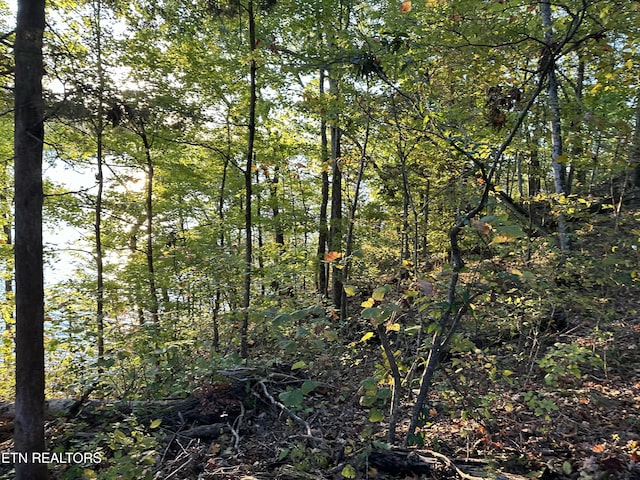 LOT778 Russell Brothers Rd, Sharps Chapel, TN 37866
