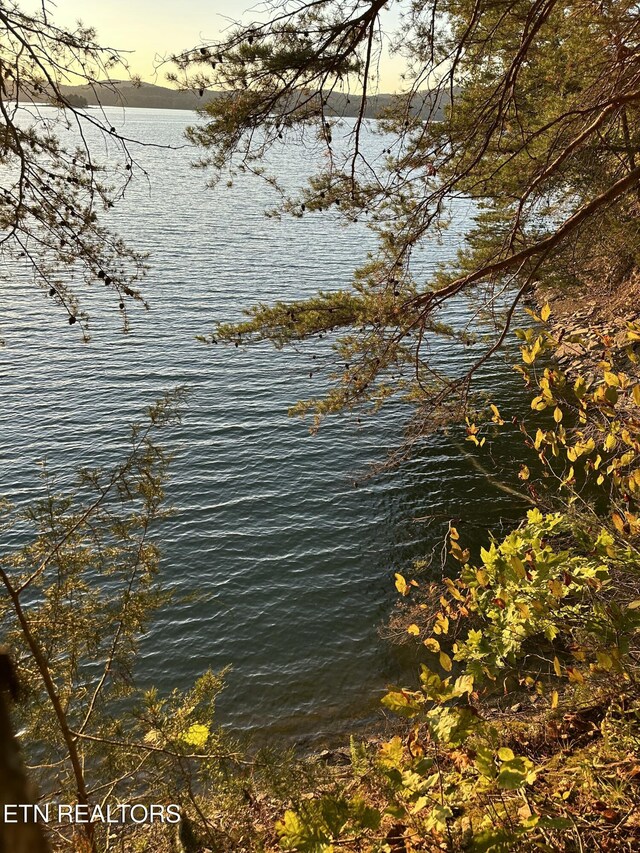 LOT778 Russell Brothers Rd, Sharps Chapel, TN 37866