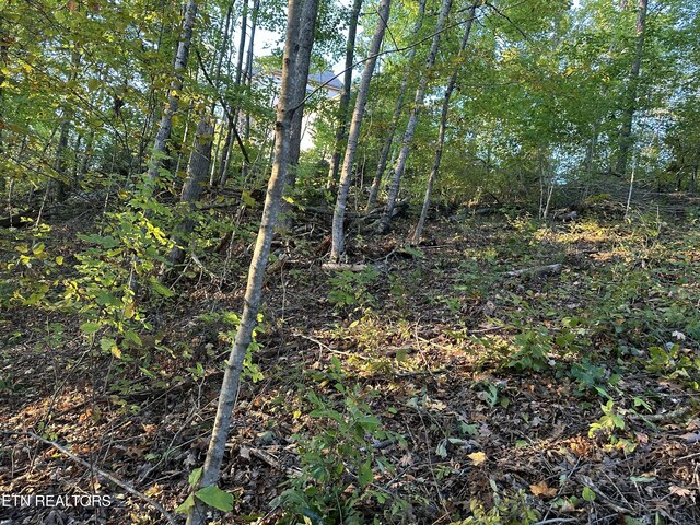 LOT778 Russell Brothers Rd, Sharps Chapel, TN 37866