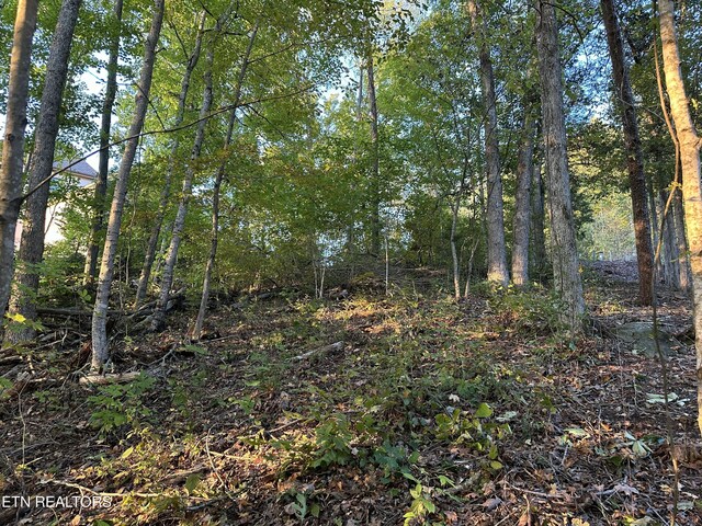 LOT778 Russell Brothers Rd, Sharps Chapel, TN 37866