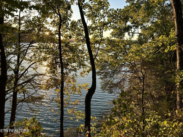 LOT778 Russell Brothers Rd, Sharps Chapel, TN 37866