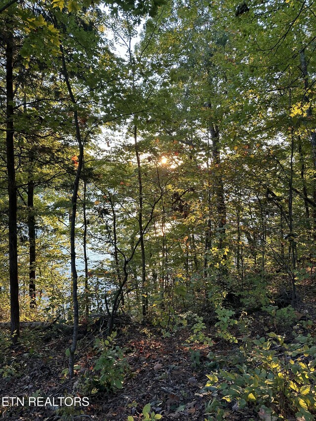 LOT778 Russell Brothers Rd, Sharps Chapel, TN 37866