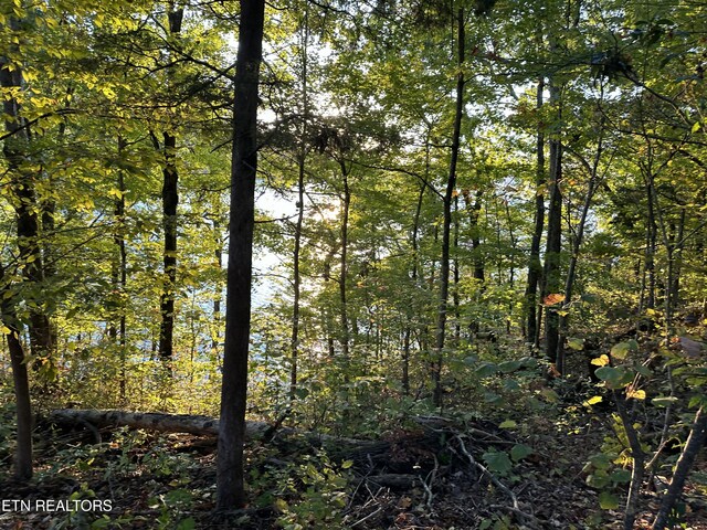 LOT778 Russell Brothers Rd, Sharps Chapel, TN 37866