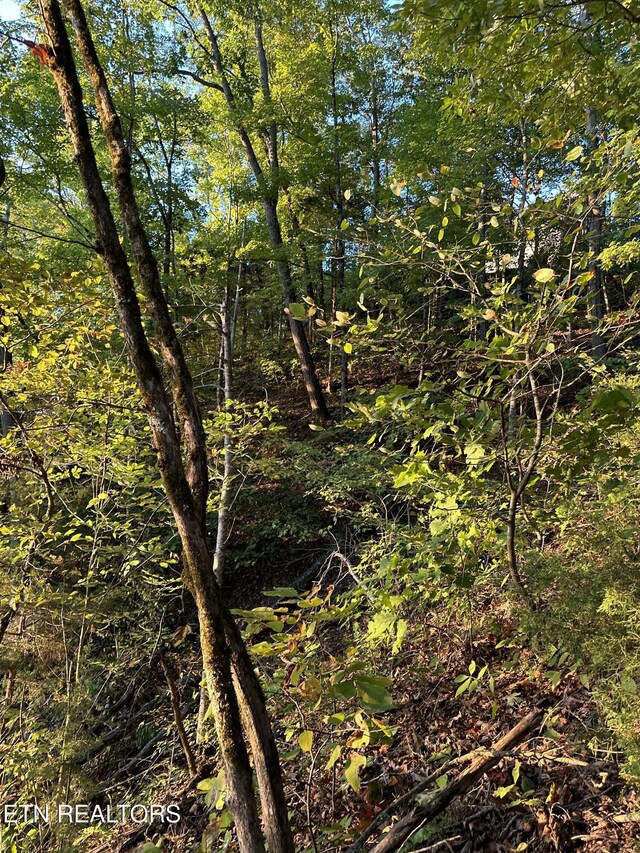 LOT778 Russell Brothers Rd, Sharps Chapel, TN 37866