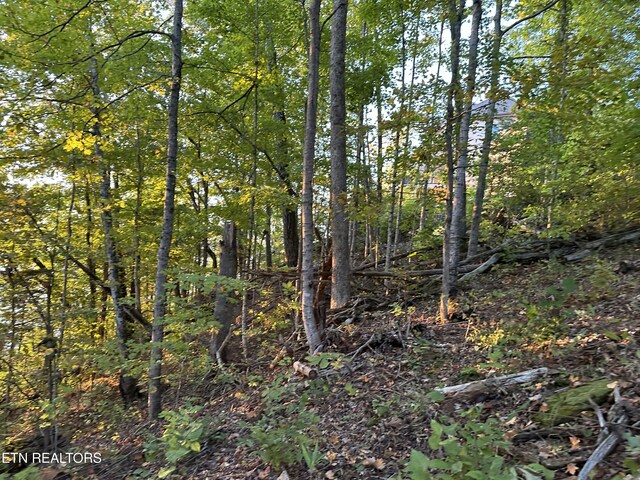 LOT778 Russell Brothers Rd, Sharps Chapel, TN 37866