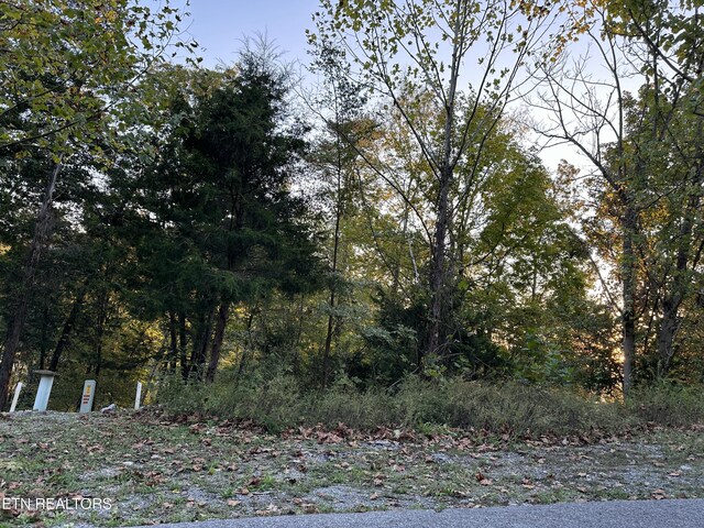LOT778 Russell Brothers Rd, Sharps Chapel, TN 37866