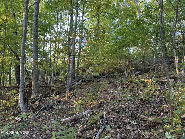 LOT778 Russell Brothers Rd, Sharps Chapel, TN 37866