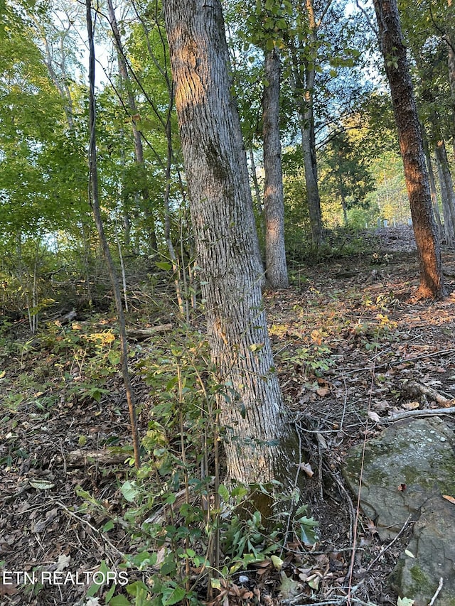 LOT778 Russell Brothers Rd, Sharps Chapel, TN 37866