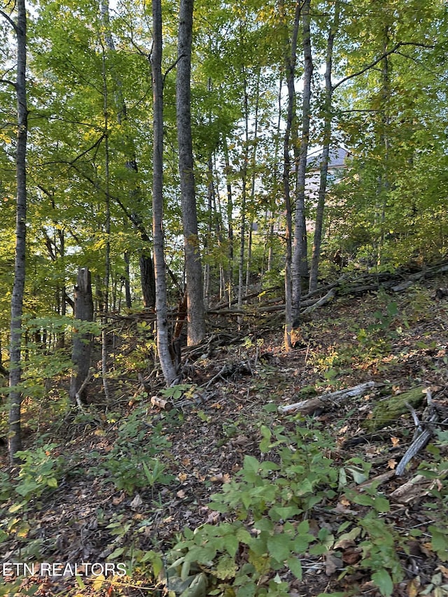 LOT778 Russell Brothers Rd, Sharps Chapel, TN 37866