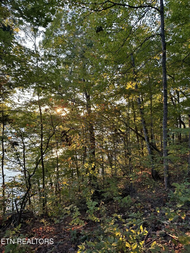 LOT778 Russell Brothers Rd, Sharps Chapel, TN 37866