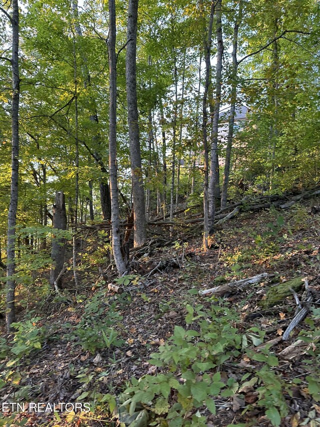 LOT778 Russell Brothers Rd, Sharps Chapel, TN 37866