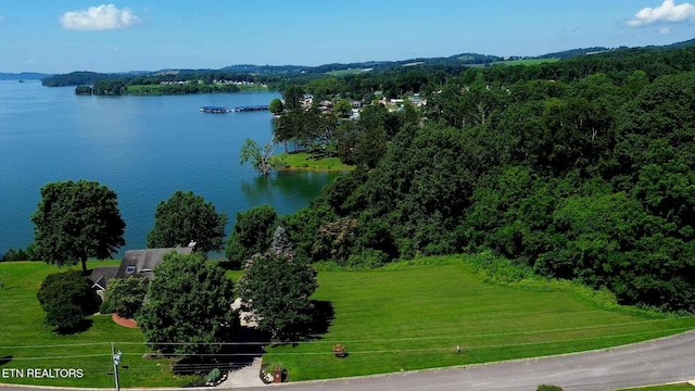 Mallard Baye, Rutledge, TN 37861 - photo 2