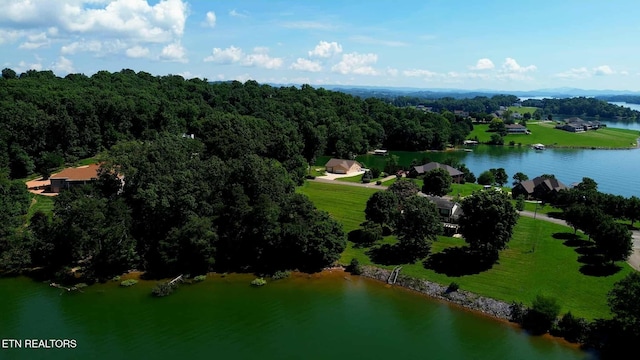 Mallard Baye, Rutledge, TN 37861 - photo 6