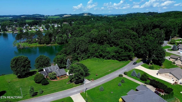 Mallard Baye, Rutledge, TN 37861 - photo 8
