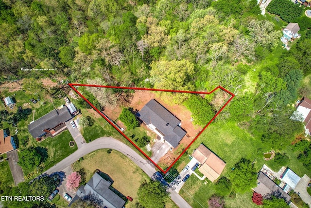 909 Dartmouth Rd, Knoxville, TN 37914 - photo 5