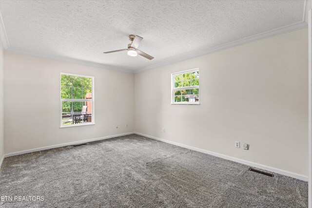 116 Victoria Rd, Kingston, TN 37763 - photo 15