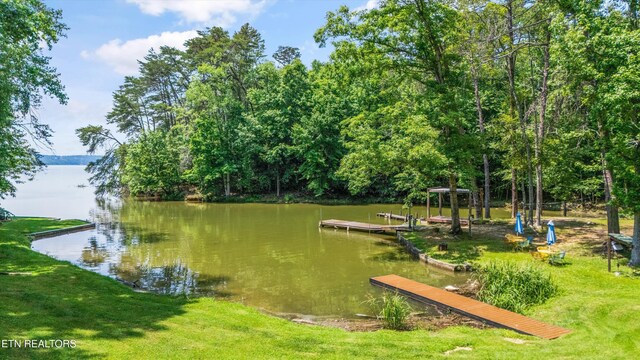 116 Victoria Rd, Kingston, TN 37763 - photo 31