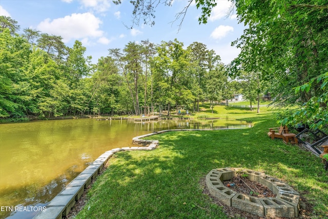 116 Victoria Rd, Kingston, TN 37763 - photo 34