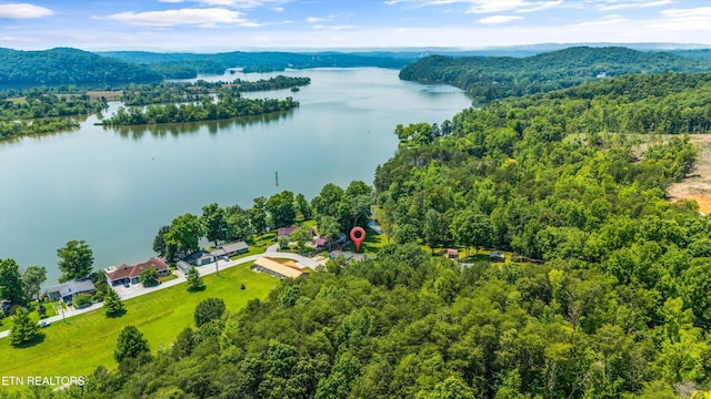 116 Victoria Rd, Kingston, TN 37763 - photo 37