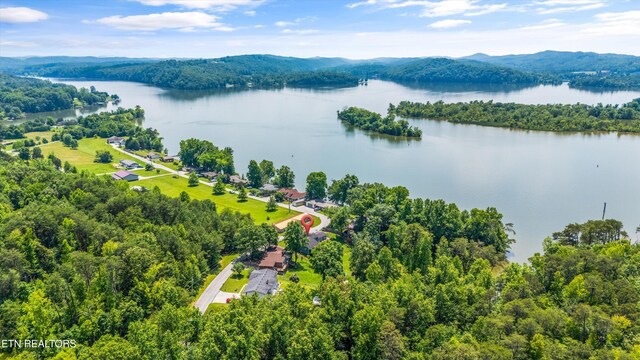 116 Victoria Rd, Kingston, TN 37763 - photo 38