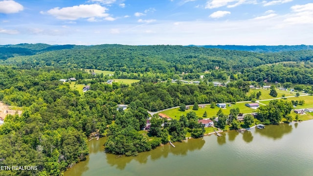 116 Victoria Rd, Kingston, TN 37763 - photo 39