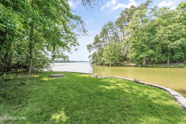 116 Victoria Rd, Kingston, TN 37763 - photo 32