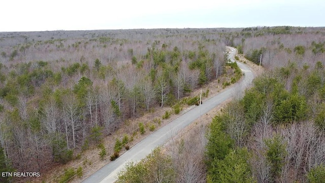 1031 Horseshoe Dr, Spencer, TN 38585 - photo 1