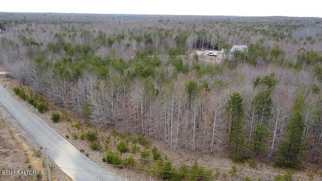 1031 Horseshoe Dr, Spencer, TN 38585 - photo 3