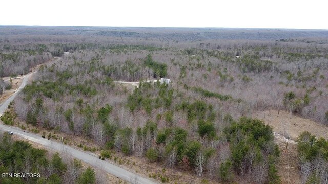 1031 Horseshoe Dr, Spencer, TN 38585 - photo 5