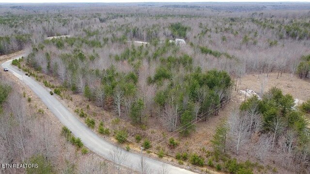 1031 Horseshoe Dr, Spencer, TN 38585 - photo 6