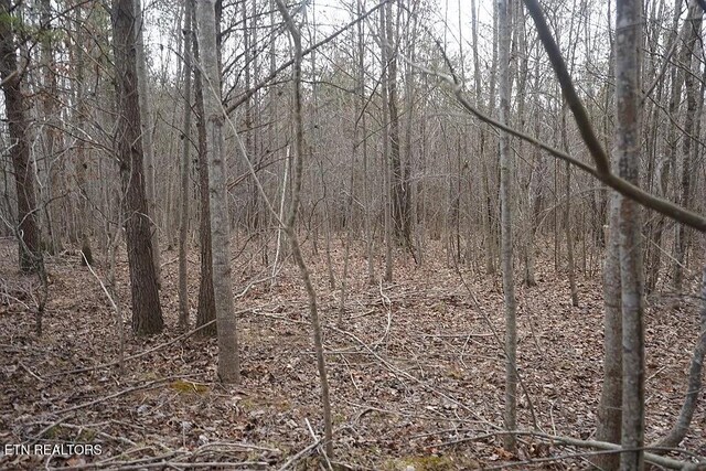 1031 Horseshoe Dr, Spencer, TN 38585 - photo 7