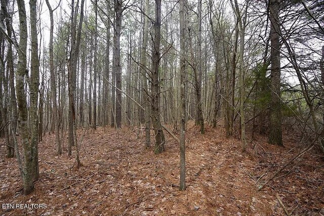 1031 Horseshoe Dr, Spencer, TN 38585 - photo 9